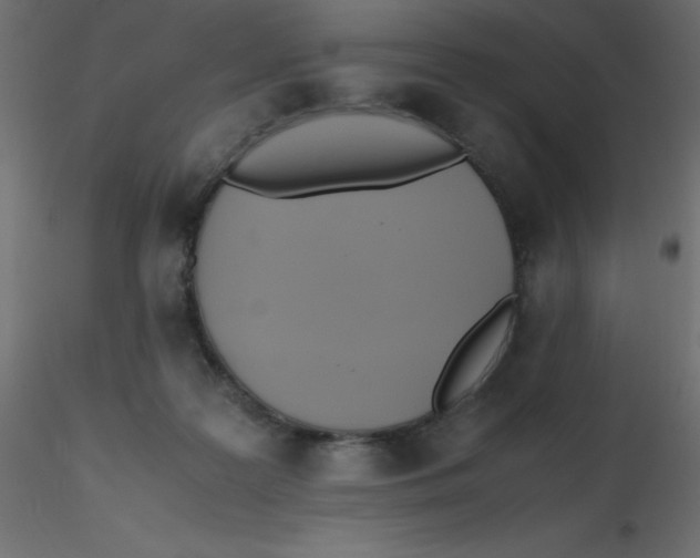 X0000116620219200912312145