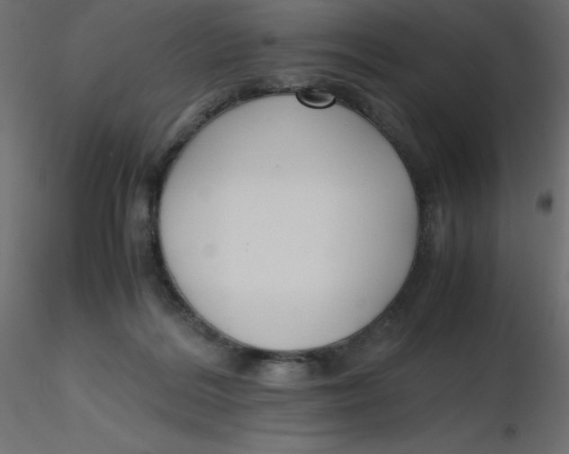 X0000116620220200912312145