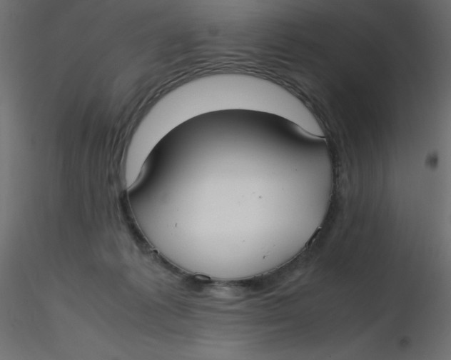 X0000116620221200912312145