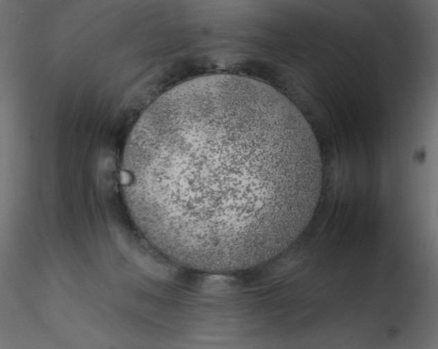 X0000116620222200912312145