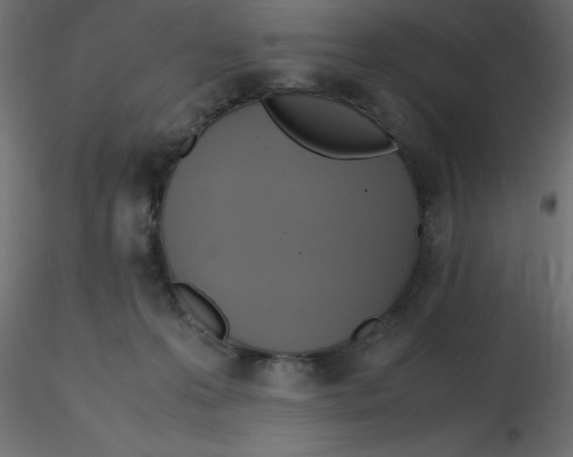 X0000116620223200912312145