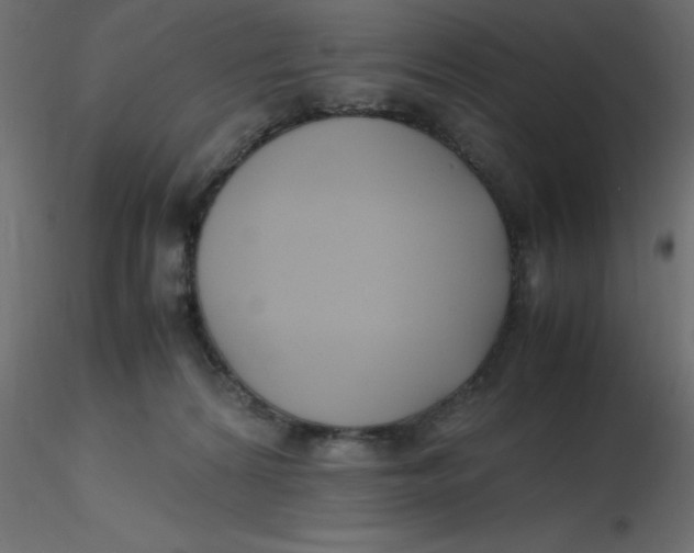 X0000116620224200912312145