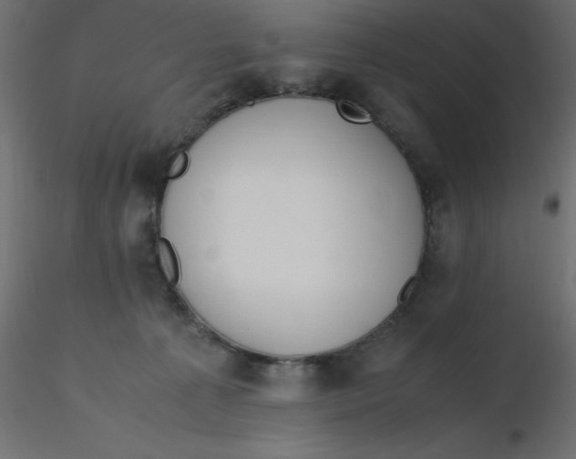 X0000116620225200912312145