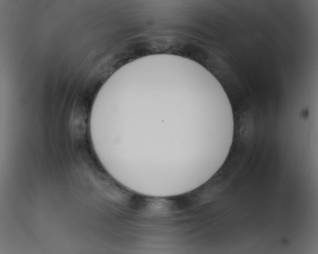 X0000116620226200912312145