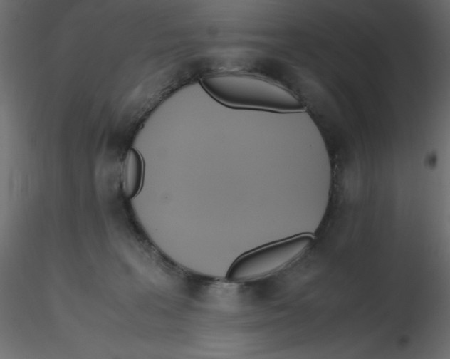 X0000116620227200912312145