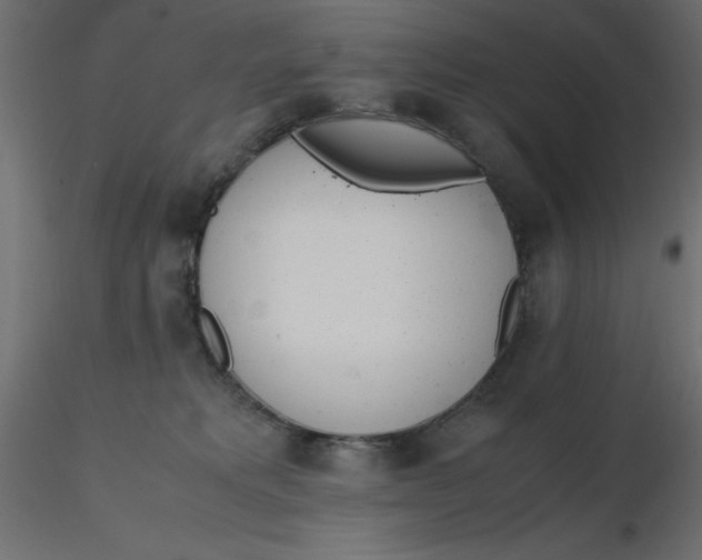 X0000116620229200912312145