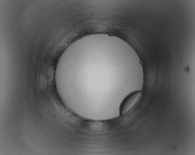 X0000116620230200912312145