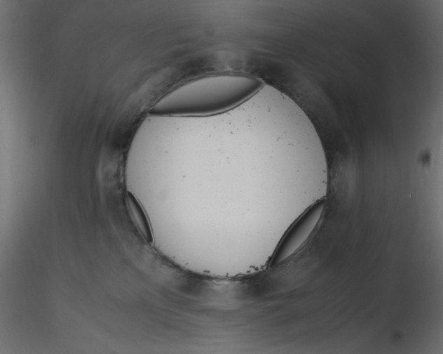 X0000116620233200912312145