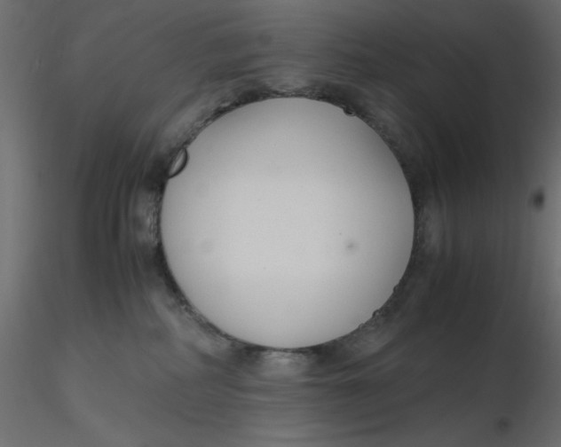 X0000116620234200912312145