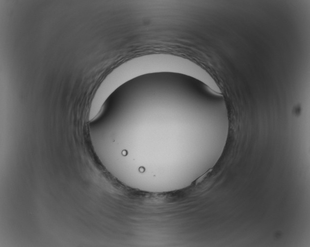 X0000116620235200912312145