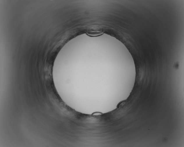 X0000116620236200912312145