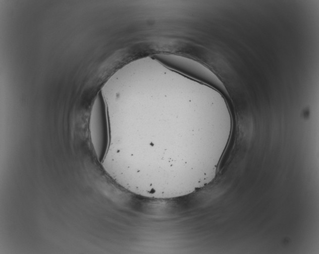 X0000116620237200912312145