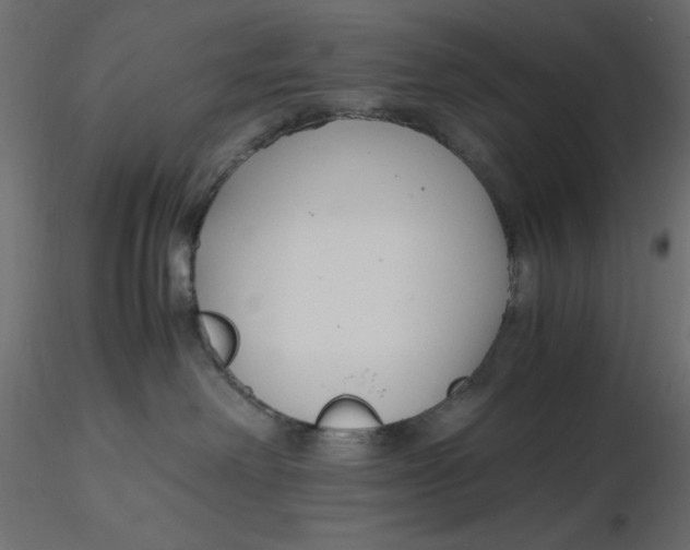 X0000116620238200912312145