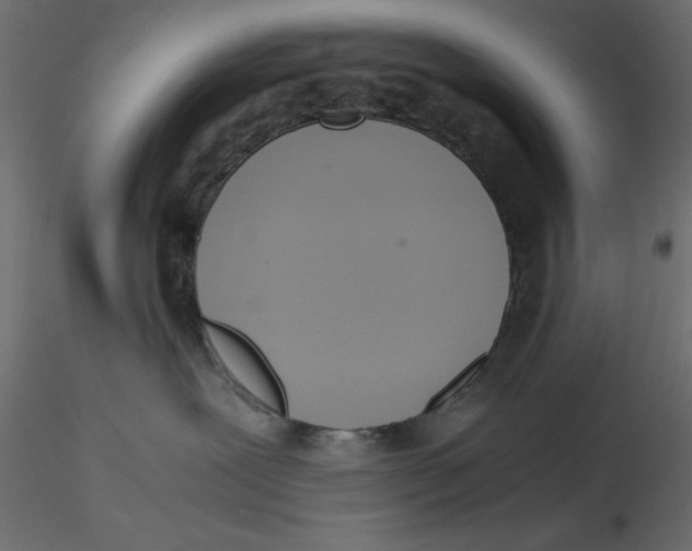 X0000116620239200912312145