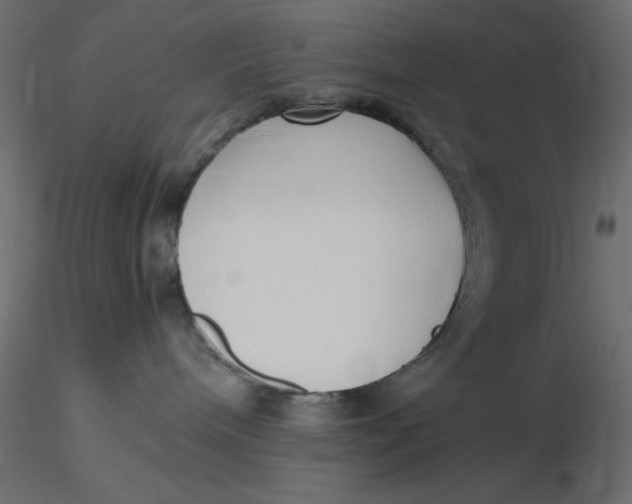 X0000116620240200912312145