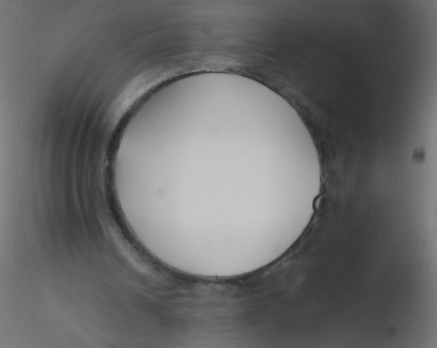 X0000116620242200912312144