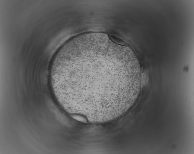 X0000116620243200912312145