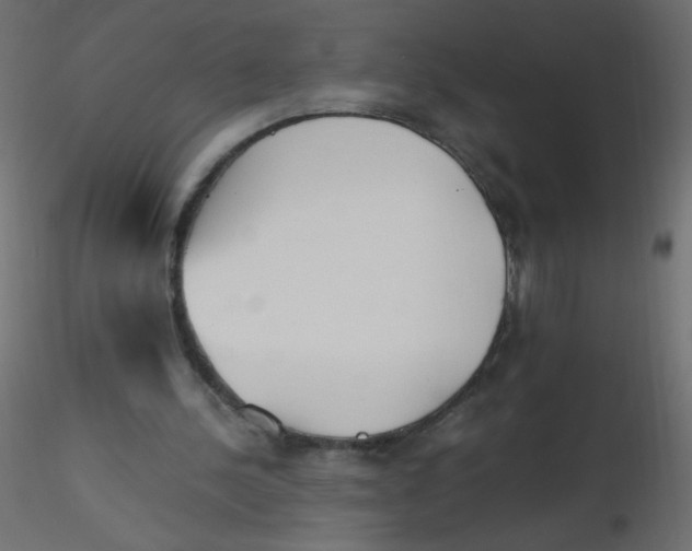 X0000116620244200912312145