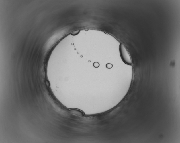 X0000116620245200912312145