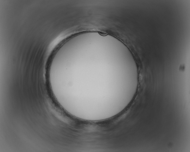 X0000116620246200912312145