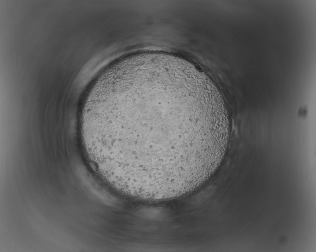 X0000116620247200912312145