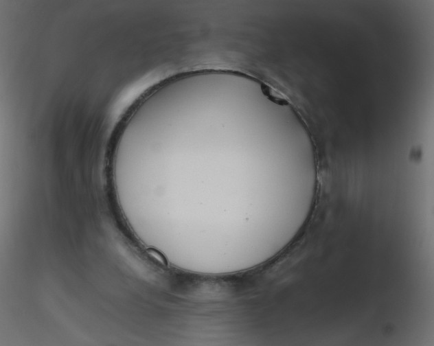 X0000116620248200912312145