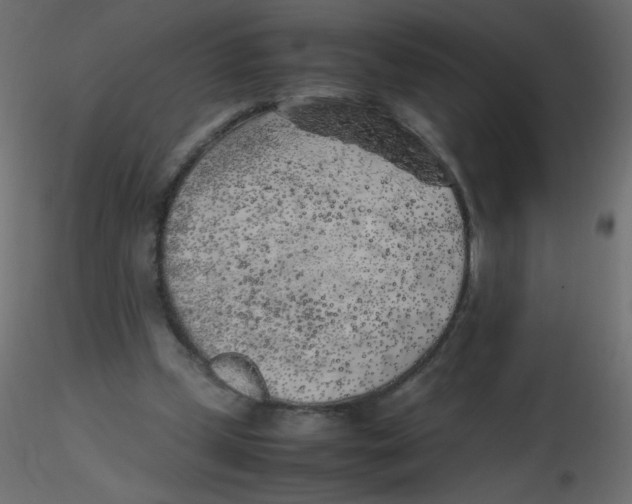 X0000116620249200912312145