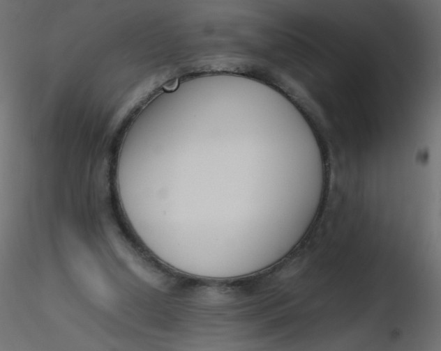 X0000116620250200912312145