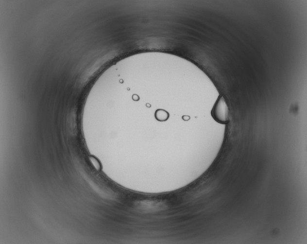 X0000116620251200912312145