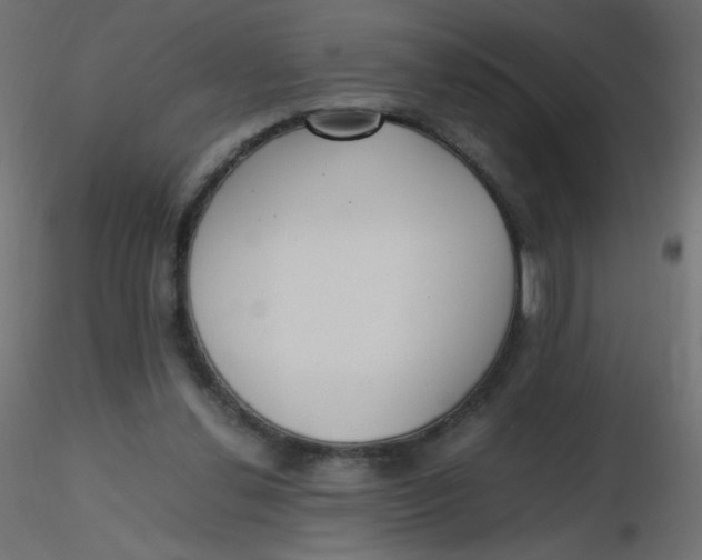 X0000116620252200912312145