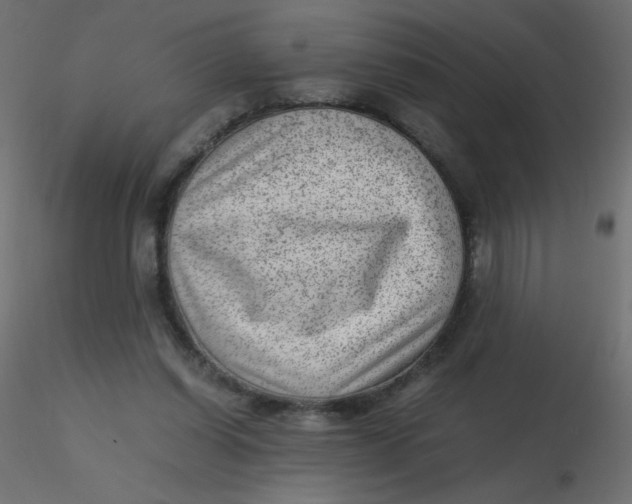 X0000116620254200912312145