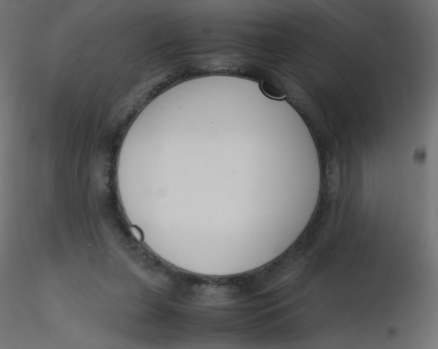 X0000116620255200912312145