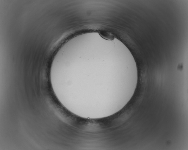 X0000116620256200912312145