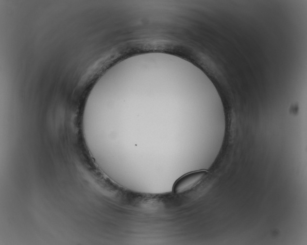 X0000116620258200912312145