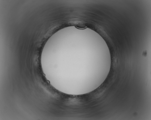 X0000116620259200912312145