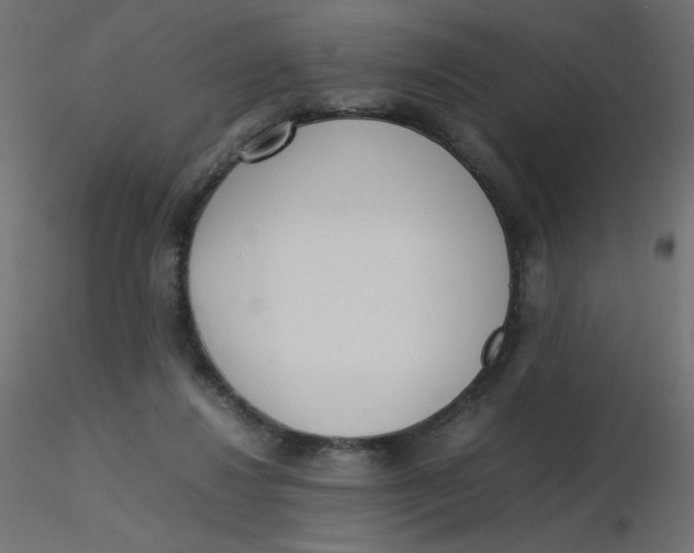 X0000116620260200912312145