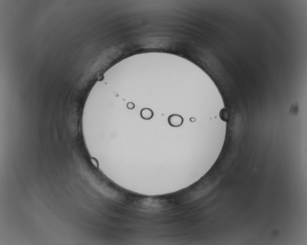 X0000116620261200912312145