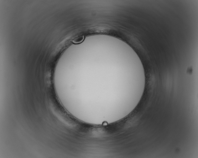 X0000116620262200912312145