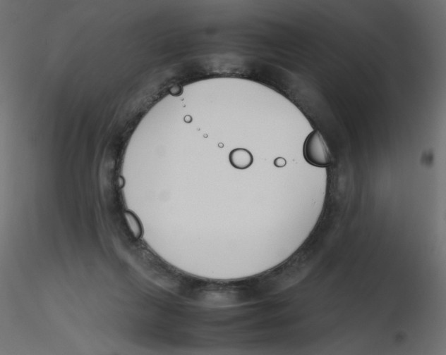 X0000116620263200912312145