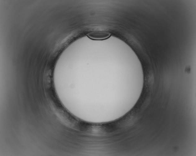 X0000116620264200912312145