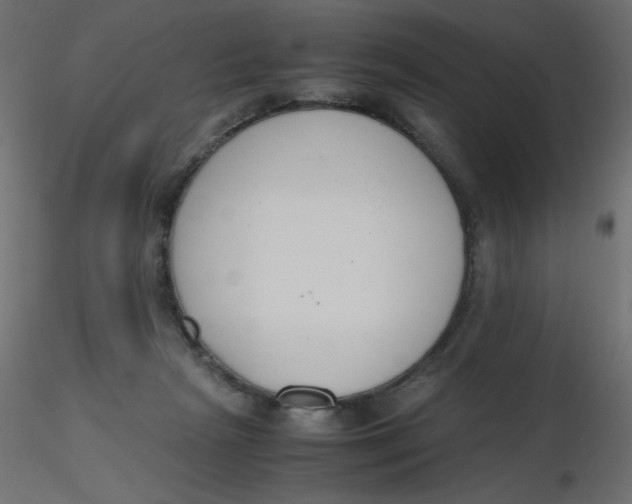 X0000116620265200912312145