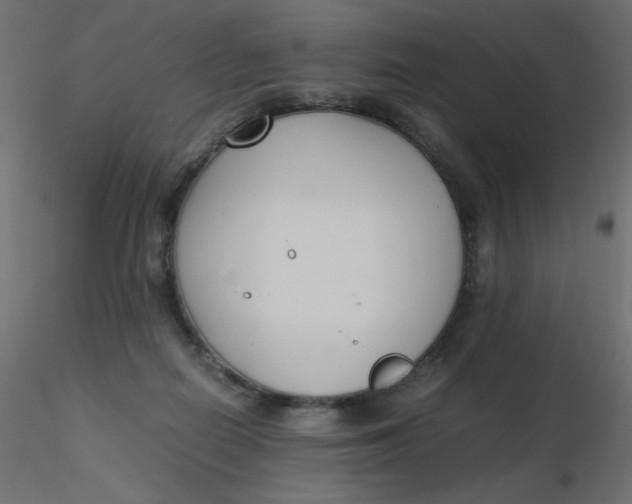 X0000116620266200912312145