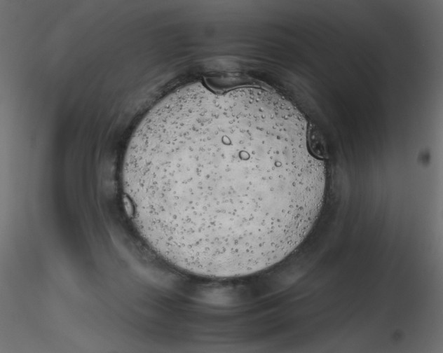 X0000116620267200912312145