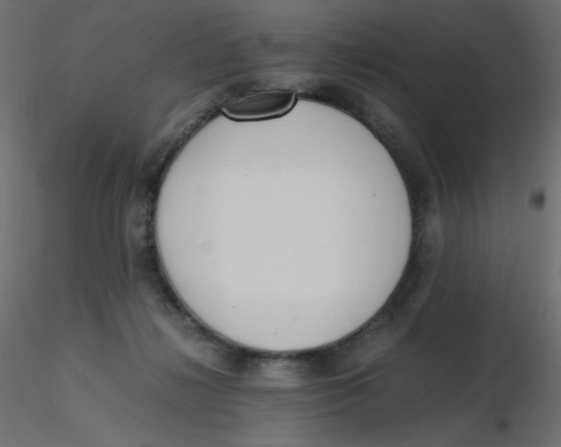 X0000116620268200912312145