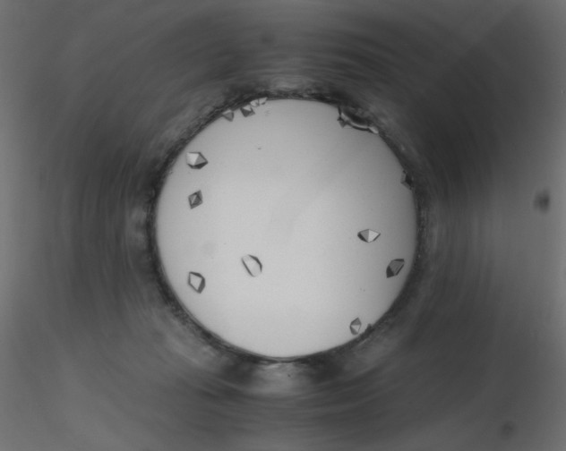 X0000116620269200912312145