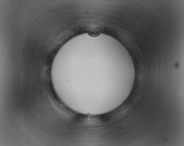 X0000116620270200912312145