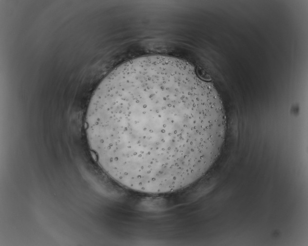 X0000116620271200912312145