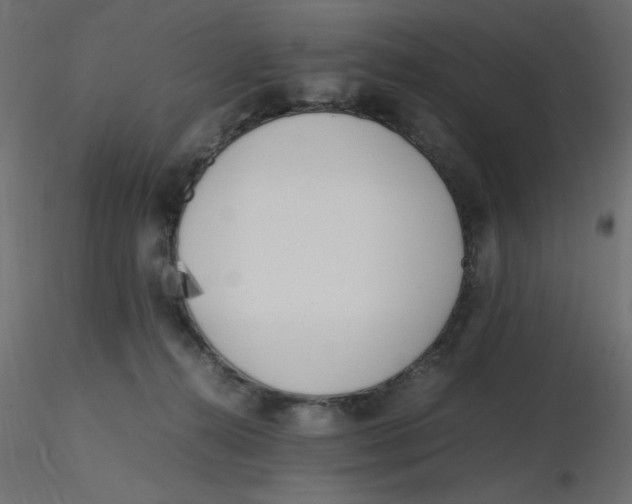 X0000116620272200912312145