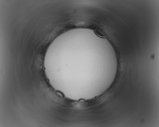 X0000116620273200912312145