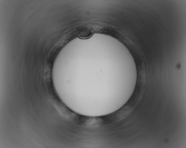 X0000116620274200912312145